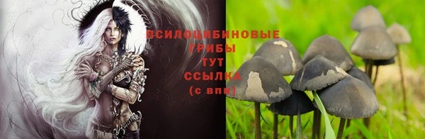 ешки Бугульма
