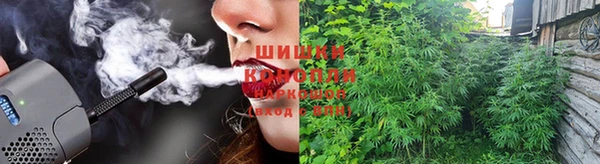 сатива Сафоново