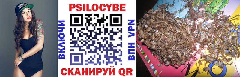 ОМГ ОМГ Спасск-Дальний Псилоцибиновые грибы Psilocybe